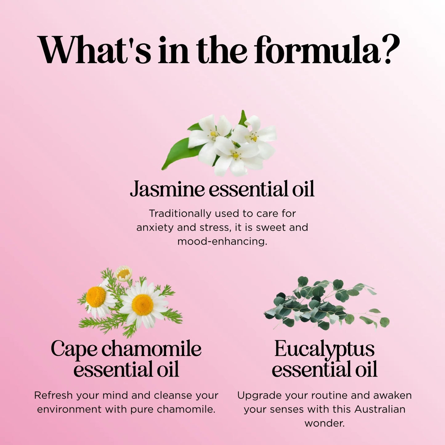 Bloom Floral Essential Oil Blend Diffuser Fragrance & Aromatherapy Oils, 1 Fl Oz