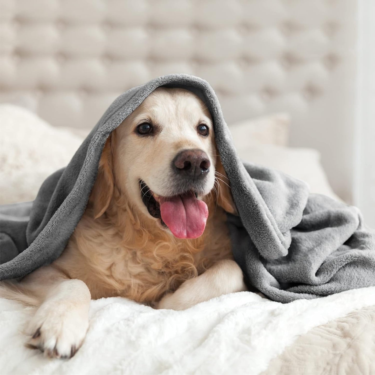 Fleece Blankets Queen Size Grey Throw Blankets for Bed, Luxury Plush Cozy Fuzzy Blanket 90X90 Inches, Super Soft Warm Lightweight Throw Blanket All Seasons Suitable