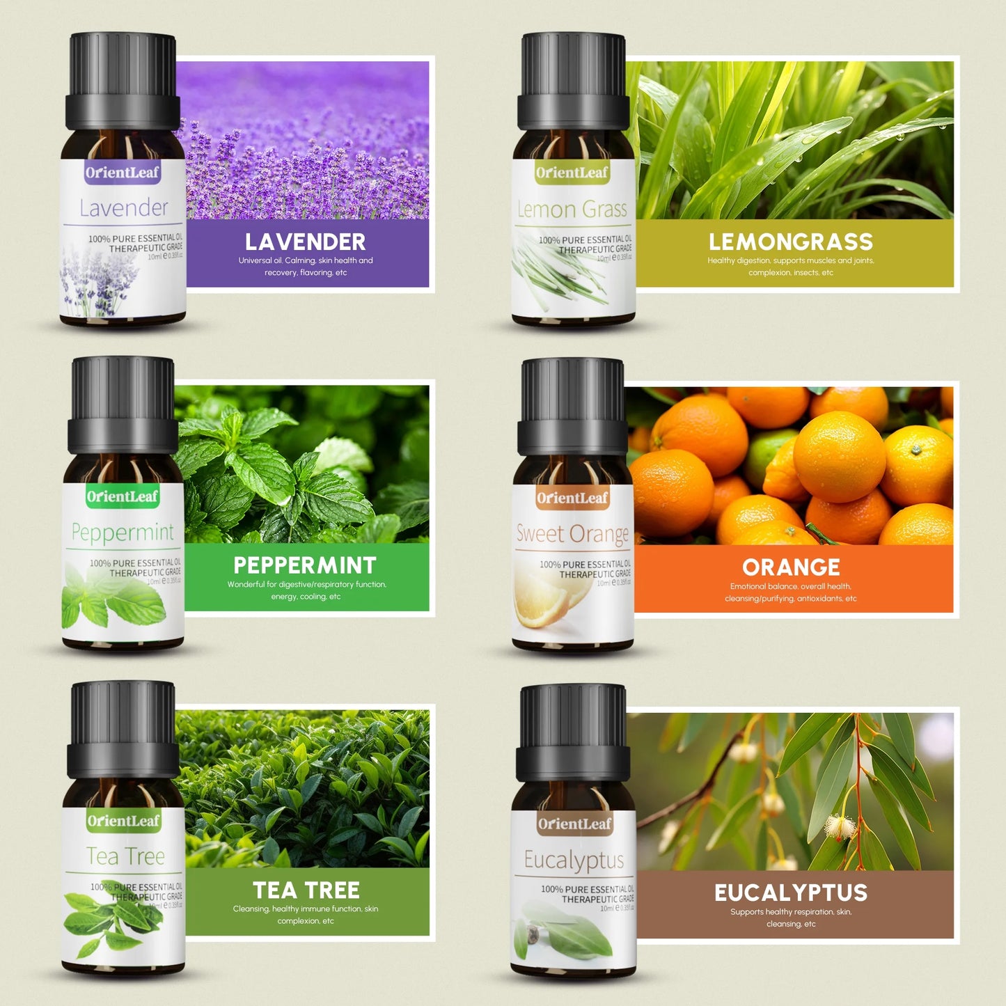 100% Pure Essential Oils Set, Aromatherapy Blended Scents Variety Essential Oils Gift Set for Diffusers, Massage, Sleep, Perfect Mother'S Day Gifts for Her