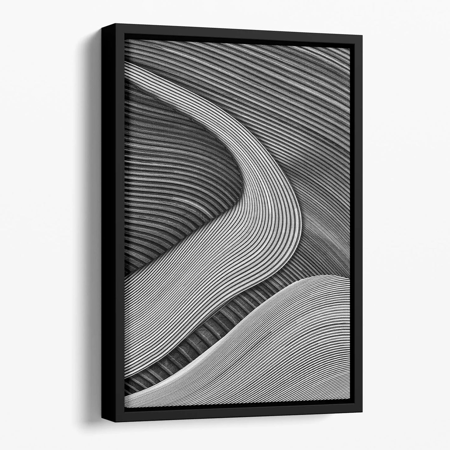 The Wood Project Iii - Zen Garden Floating Framed Canvas