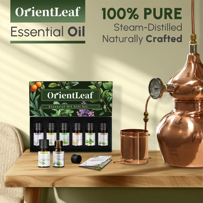 100% Pure Essential Oils Set, Aromatherapy Blended Scents Variety Essential Oils Gift Set for Diffusers, Massage, Sleep, Perfect Mother'S Day Gifts for Her